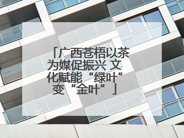 广西苍梧以茶为媒促振兴 文化赋能“绿叶”变“金叶”