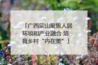 广西蒙山聚焦人居环境和产业融合 培育乡村“内在美”