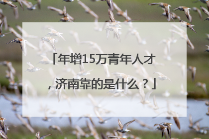 年增15万青年人才，济南靠的是什么？