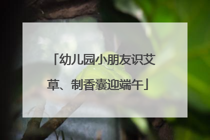 幼儿园小朋友识艾草、制香囊迎端午