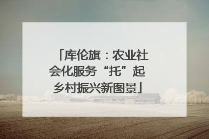 库伦旗：农业社会化服务“托”起乡村振兴新图景