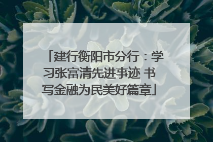 建行衡阳市分行：学习张富清先进事迹 书写金融为民美好篇章