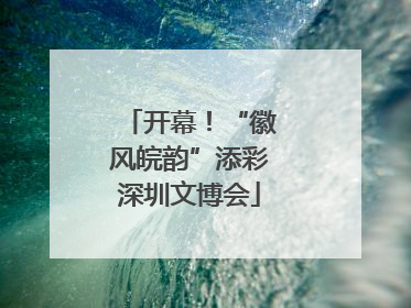 开幕！“徽风皖韵”添彩深圳文博会