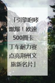 引擎咆哮燃爆！欧速500圈卡丁车耐力赛点亮荆州文旅新名片