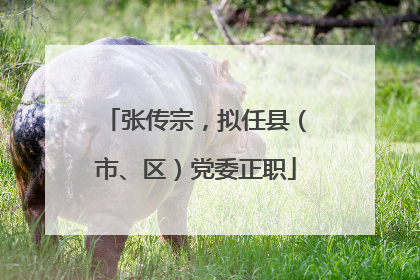 张传宗，拟任县（市、区）党委正职