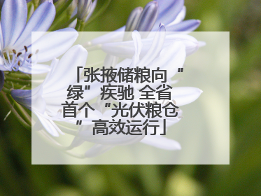 张掖储粮向“绿”疾驰 全省首个“光伏粮仓”高效运行