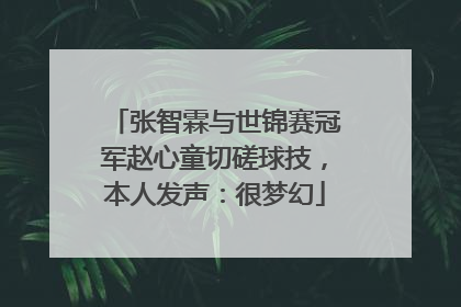 张智霖与世锦赛冠军赵心童切磋球技，本人发声：很梦幻