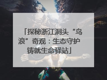 探秘浙江洞头“鸟浪”奇观：生态守护铸就生命驿站