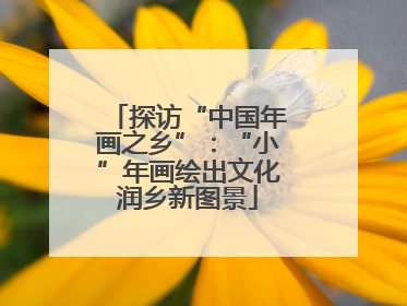 探访“中国年画之乡”：“小”年画绘出文化润乡新图景