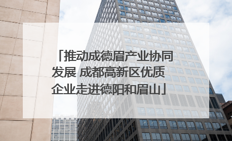 推动成德眉产业协同发展 成都高新区优质企业走进德阳和眉山