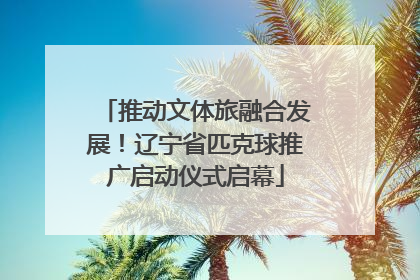 推动文体旅融合发展！辽宁省匹克球推广启动仪式启幕
