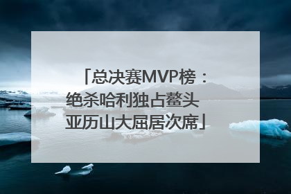 总决赛MVP榜：绝杀哈利独占鳌头 亚历山大屈居次席