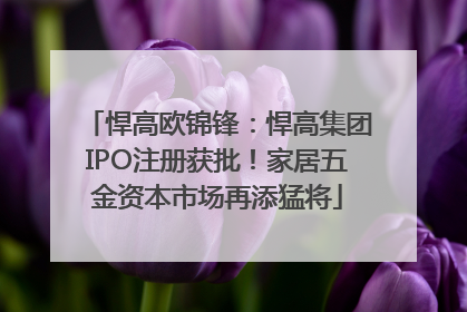 悍高欧锦锋：悍高集团IPO注册获批！家居五金资本市场再添猛将