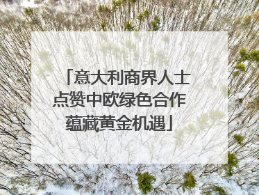 意大利商界人士点赞中欧绿色合作蕴藏黄金机遇