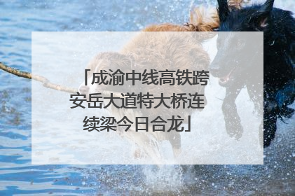 成渝中线高铁跨安岳大道特大桥连续梁今日合龙