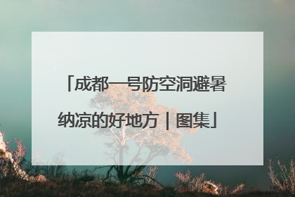 成都一号防空洞避暑纳凉的好地方｜图集