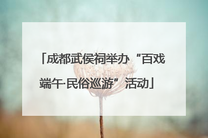 成都武侯祠举办“百戏端午·民俗巡游”活动