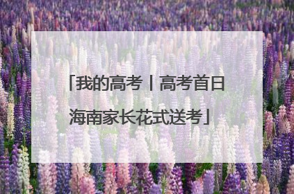 我的高考丨高考首日 海南家长花式送考