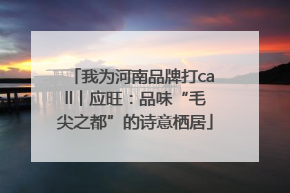 我为河南品牌打call丨应旺：品味“毛尖之都”的诗意栖居
