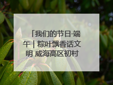 我们的节日·端午｜粽叶飘香话文明 威海高区初村镇端午系列活动亮点纷呈