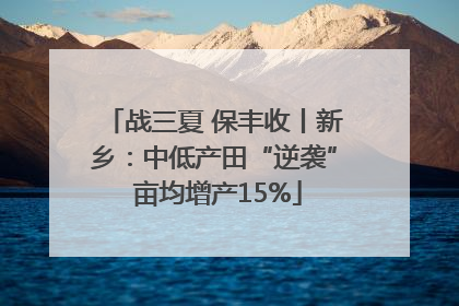 战三夏 保丰收丨新乡：中低产田“逆袭” 亩均增产15%