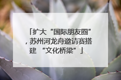 扩大“国际朋友圈”，苏州河龙舟邀请赛搭建 “文化桥梁”