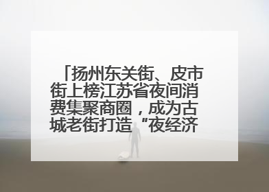 扬州东关街、皮市街上榜江苏省夜间消费集聚商圈，成为古城老街打造“夜经济”的样本