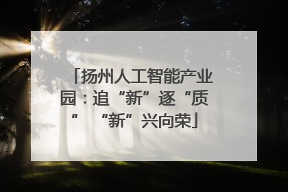 扬州人工智能产业园：追“新”逐“质” “新”兴向荣