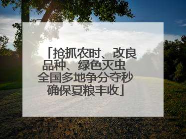 抢抓农时、改良品种、绿色灭虫 全国多地争分夺秒确保夏粮丰收