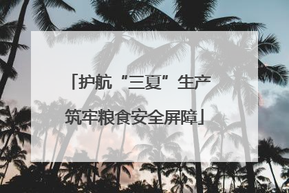 护航“三夏”生产 筑牢粮食安全屏障
