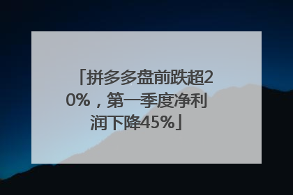 拼多多盘前跌超20%，第一季度净利润下降45%