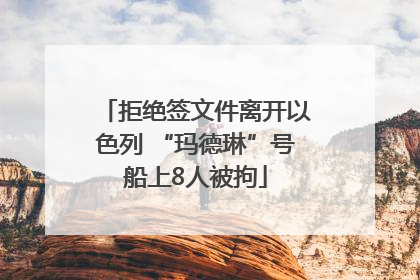 拒绝签文件离开以色列 “玛德琳”号船上8人被拘