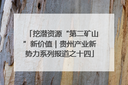 挖潜资源“第二矿山”新价值｜贵州产业新势力系列报道之十四