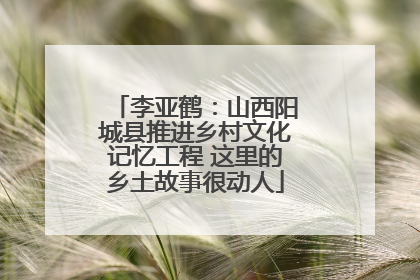 李亚鹤：山西阳城县推进乡村文化记忆工程 这里的乡土故事很动人