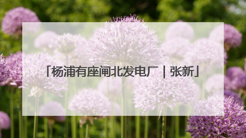 杨浦有座闸北发电厂｜张新
