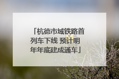 杭德市域铁路首列车下线 预计明年年底建成通车