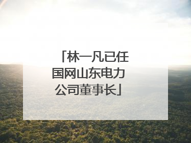 林一凡已任国网山东电力公司董事长