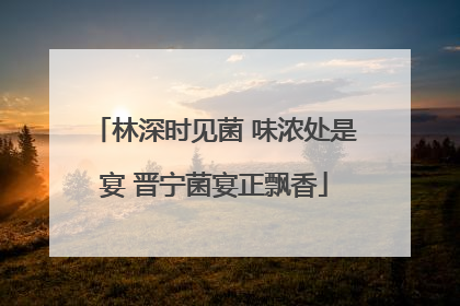 林深时见菌 味浓处是宴 晋宁菌宴正飘香