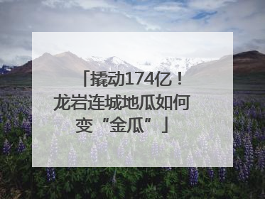 撬动174亿！龙岩连城地瓜如何变“金瓜”