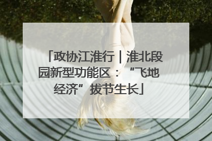 政协江淮行｜淮北段园新型功能区：“飞地经济”拔节生长
