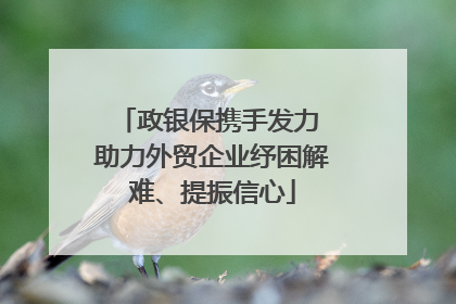 政银保携手发力 助力外贸企业纾困解难、提振信心