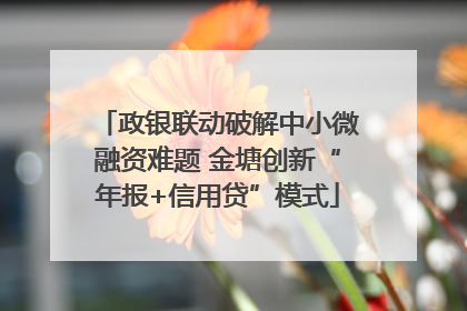 政银联动破解中小微融资难题 金塘创新“年报+信用贷”模式