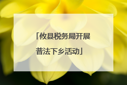 攸县税务局开展普法下乡活动