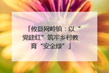 攸县网岭镇：以“党建红”筑牢乡村教育“安全绿”