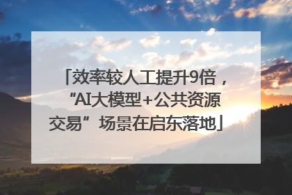 效率较人工提升9倍，“AI大模型+公共资源交易”场景在启东落地