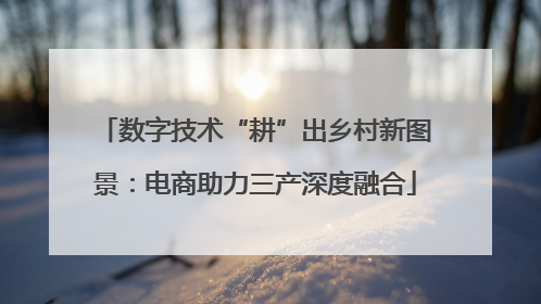 数字技术“耕”出乡村新图景：电商助力三产深度融合
