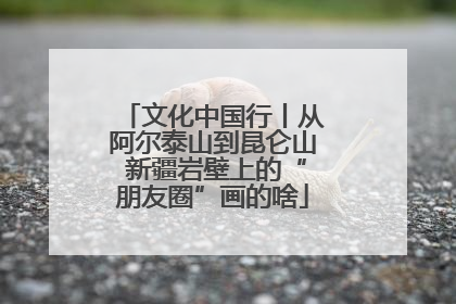 文化中国行丨从阿尔泰山到昆仑山 新疆岩壁上的“朋友圈”画的啥