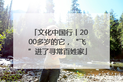 文化中国行丨2000多岁的它，“飞”进了寻常百姓家