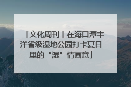 文化周刊丨在海口潭丰洋省级湿地公园打卡夏日里的“湿”情画意
