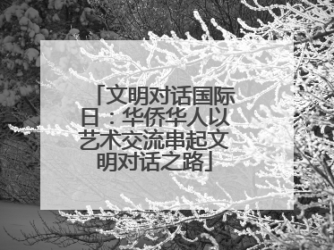 文明对话国际日：华侨华人以艺术交流串起文明对话之路
